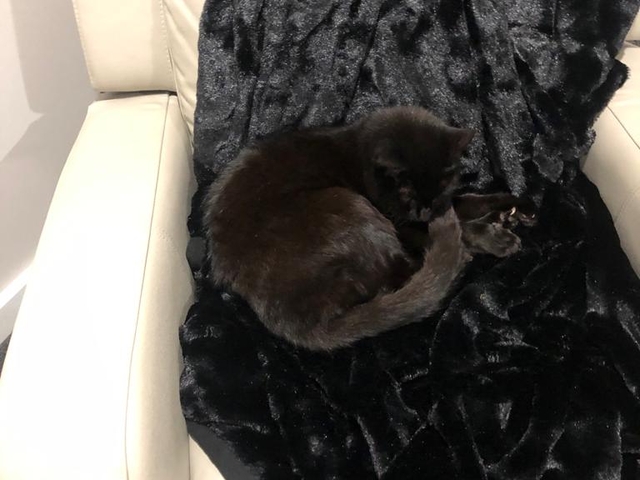Rosie